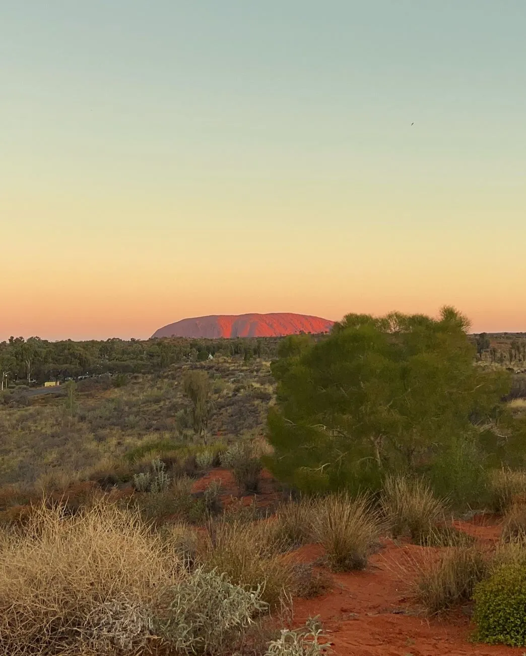 No Car Needed Uluru